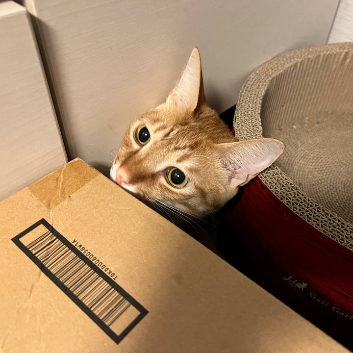 961d55c2 5313 4f70 b489 b1ad3cde4fca 1646250876712