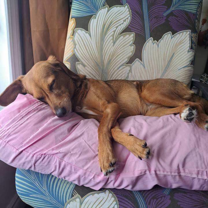 961d57d9 65a1 4eb5 b760 8ee0087b18b0 1770468073666