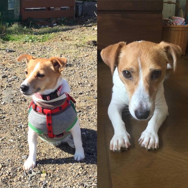 961d5c2b e836 42b0 bf3e 8795bd16534b 1539861729501