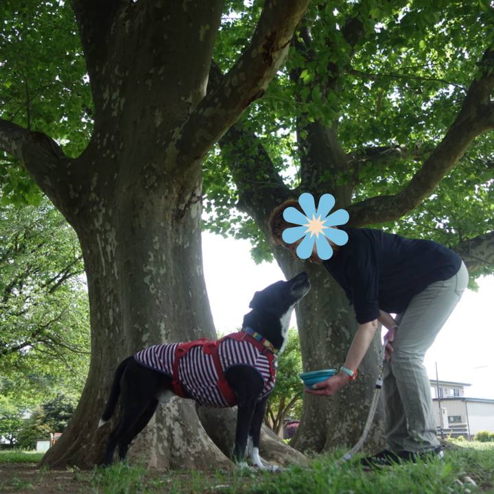 961d6964 b993 444c abe1 04fffc8dd404 1683335869972