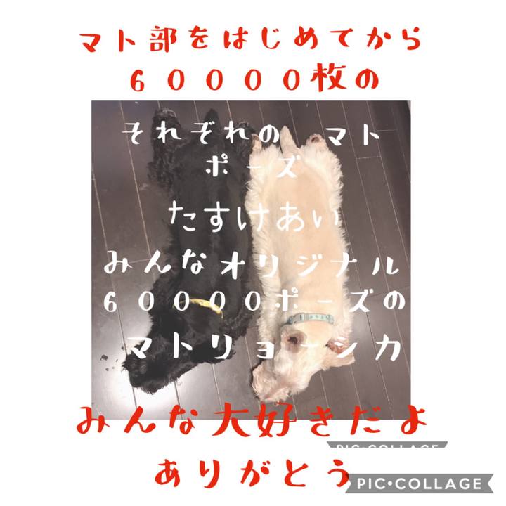 961dbc72 6044 4df5 9324 dac0f08dddc4 1578491667337