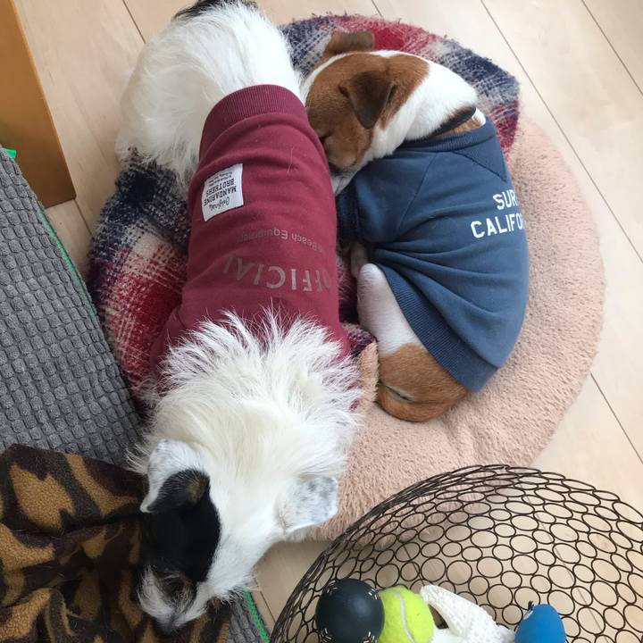 961dbf6a fd01 4b42 8bc4 b741e18d9215 1539644232818