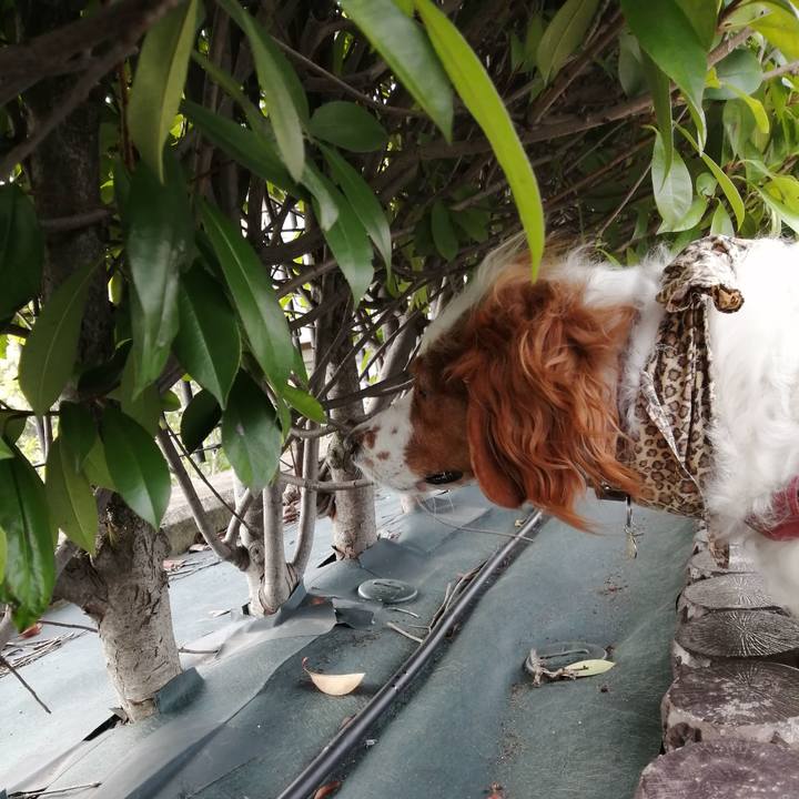 961dd584 b11a 4a5c 8f33 855593a98520 1596617874868