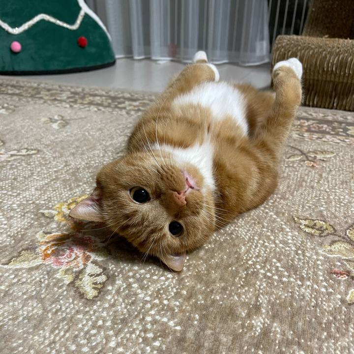 961e15a0 6b35 4f1b bbfa 8ab29d5995db 1624186602019