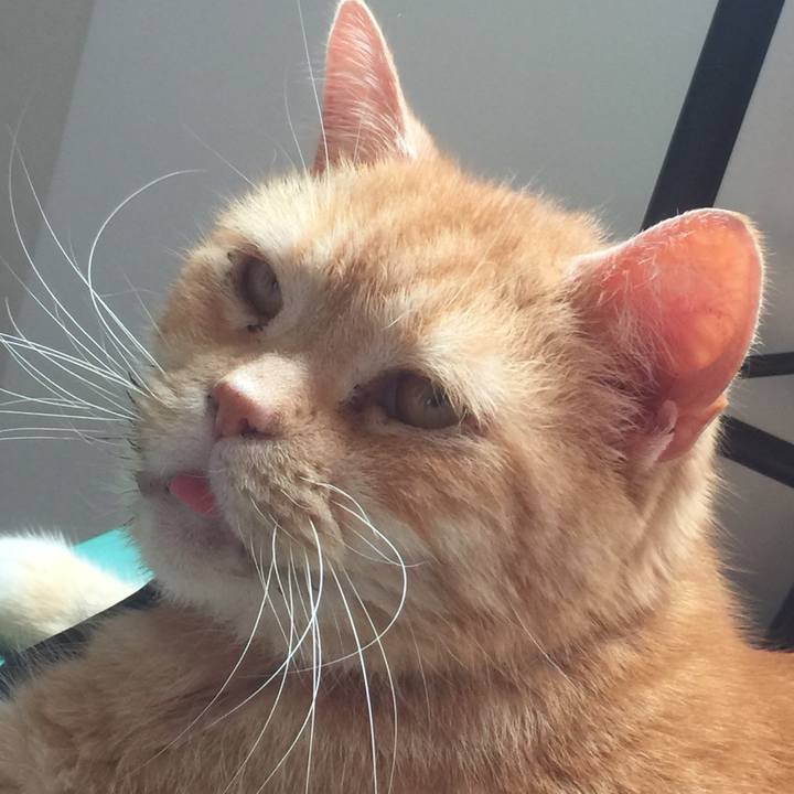 961e1780 39bd 4e1f a499 638f7963994b 1556679122354