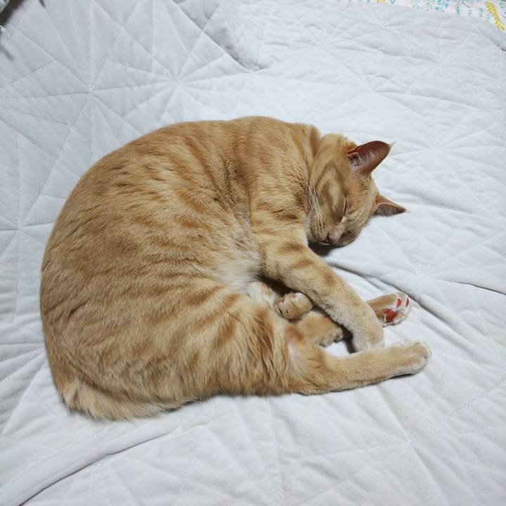 961ebfa9 960d 404d 9a08 66f6754e755b 1590669382261