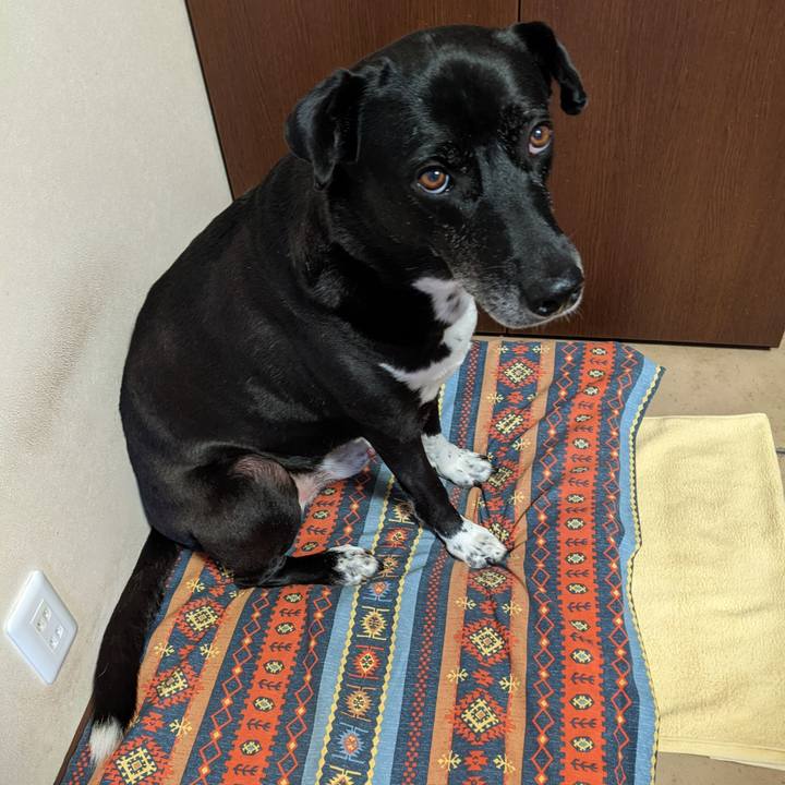 961ed15e 117b 45c0 8e79 66646e290a43 1699526230996