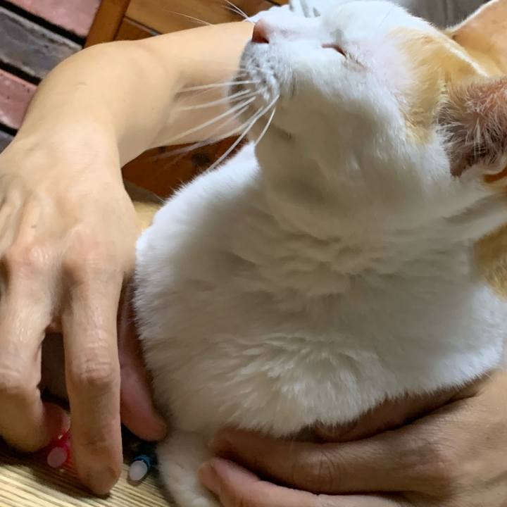 961f363e afd7 4d7d 86ea 12a6c892afad 1627393015014