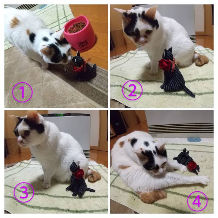 961f5950 d283 4a55 a644 720136cbc86f 1673517341959