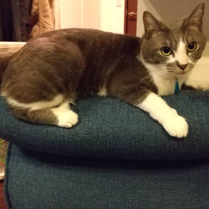 961f5f8c b867 4054 9cf8 c8c525ca7132 1617188684900