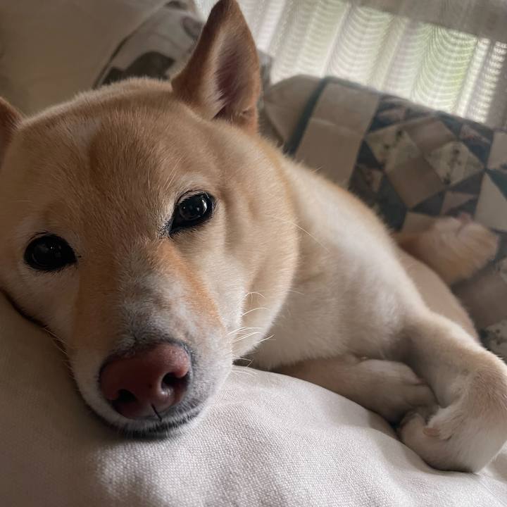 961f64ab 2cd8 4a4e 897b 32ffb6415622 1661557473057