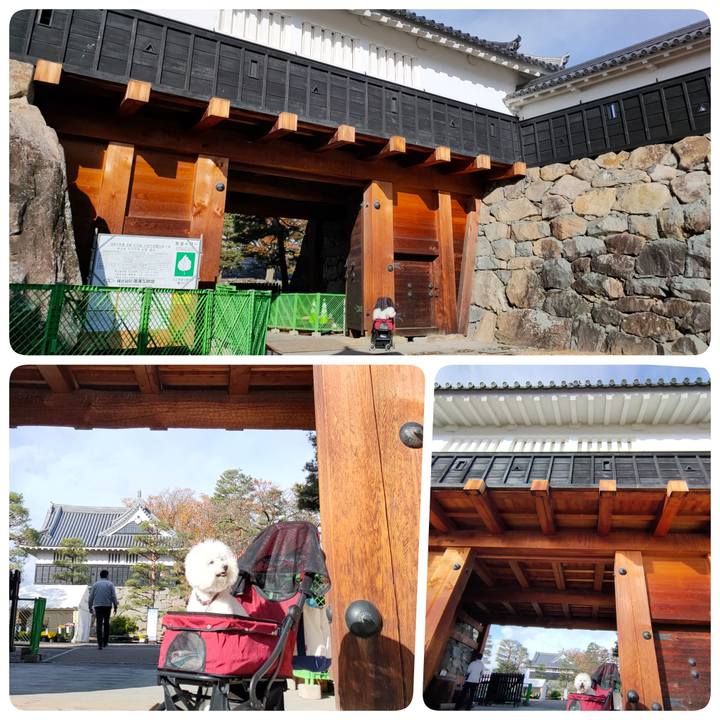 961f9418 0726 4652 96dd 6798899a4987 1762864215736