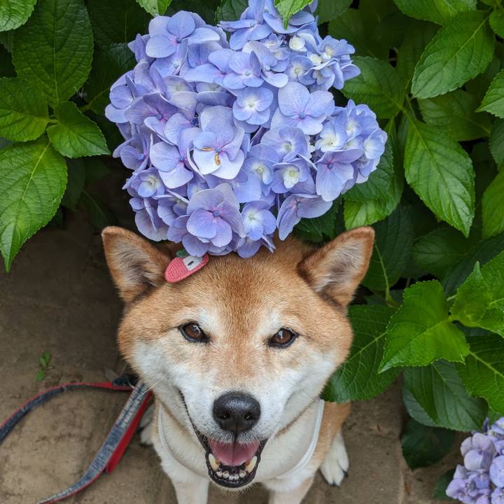 96203d34 749b 4ba6 a837 eefd777a782d 1719026555805