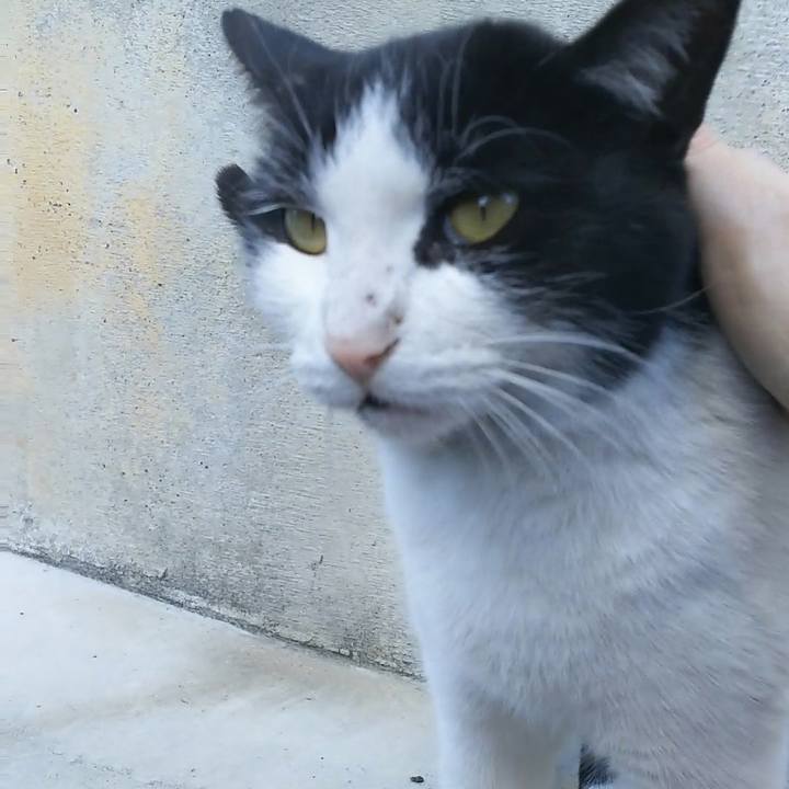 96205830 1bb4 4a4a 9a70 b106be8d241d 1512532947085