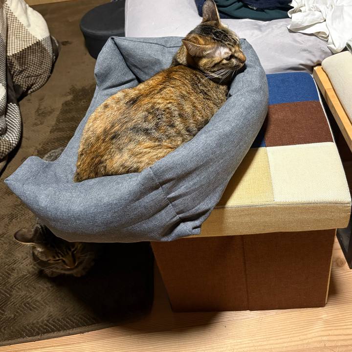 96206abe f9e8 487b 86b0 1a24a6cacb23 1762471637422