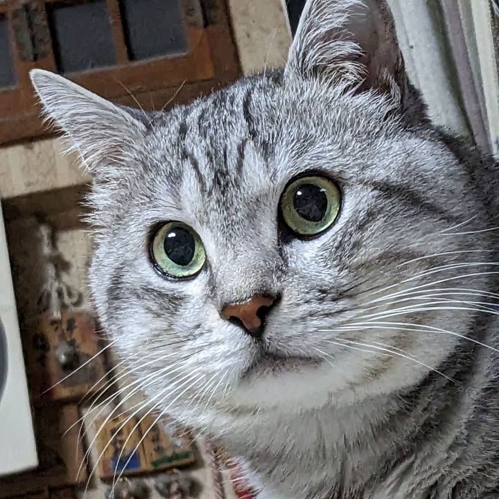 962075e7 7dec 45c4 a27b 89a9355aa0bc 1699457527950