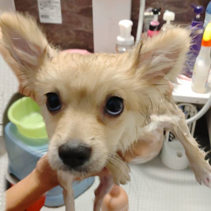 962080cf 8803 4858 96ee fcc3a0391b88 1724976364227