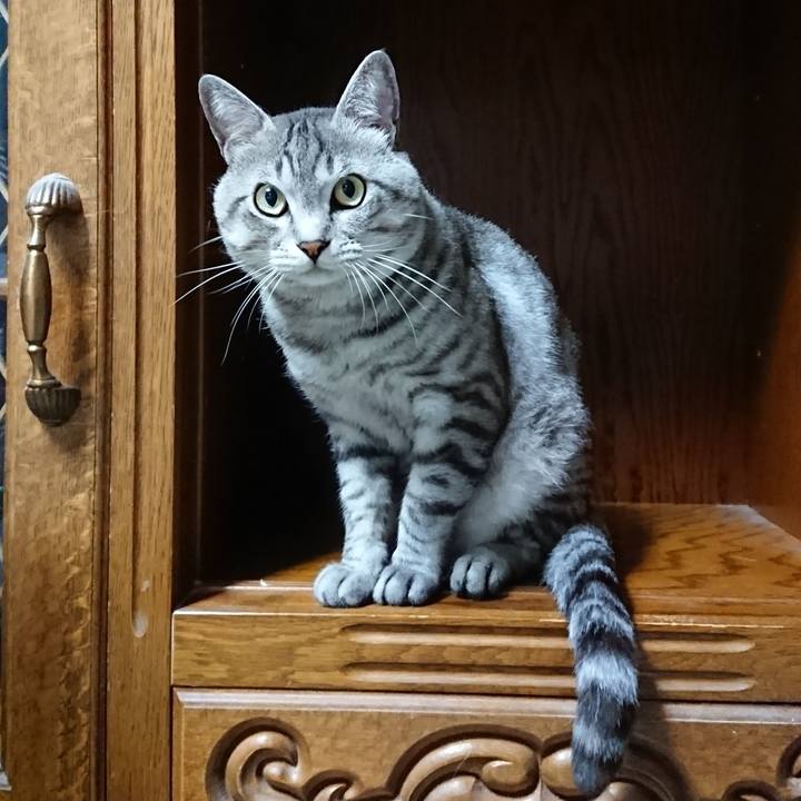 962093a3 9652 424a 95a6 7673a1567592 1532352235268