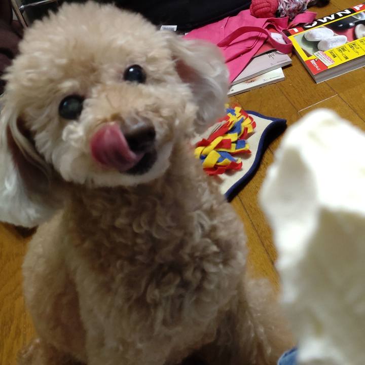 96209a04 dc54 429c bb8e ea946cb8702b 1652000183772