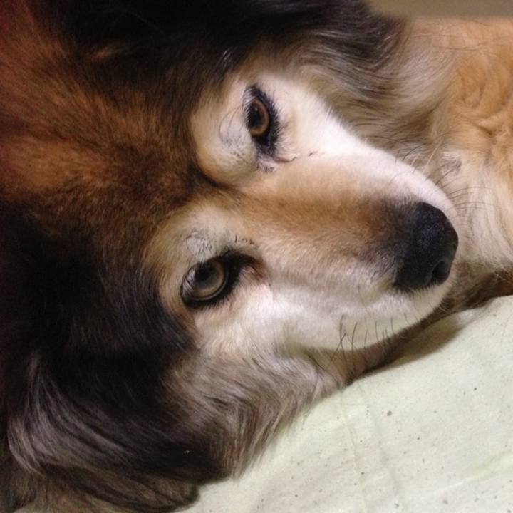 9620a1e8 46d2 4885 a30e 21046ee4fbc5 1629522099032