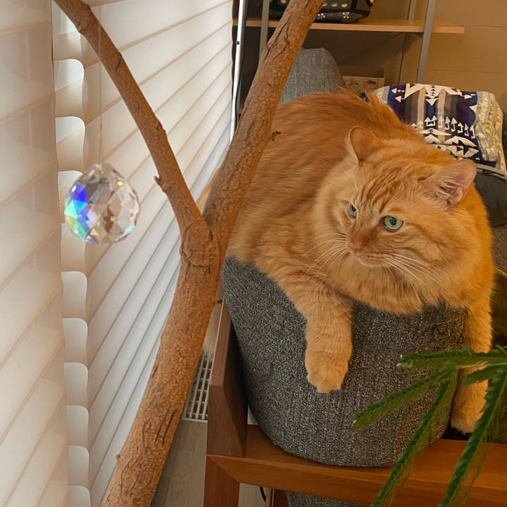 9620beff 1770 462d 9326 6251cad08acb 1769758722125