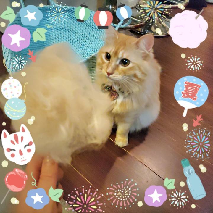 9620c5b0 511e 47ab 86aa 41cf138f4c2a 1661686358507