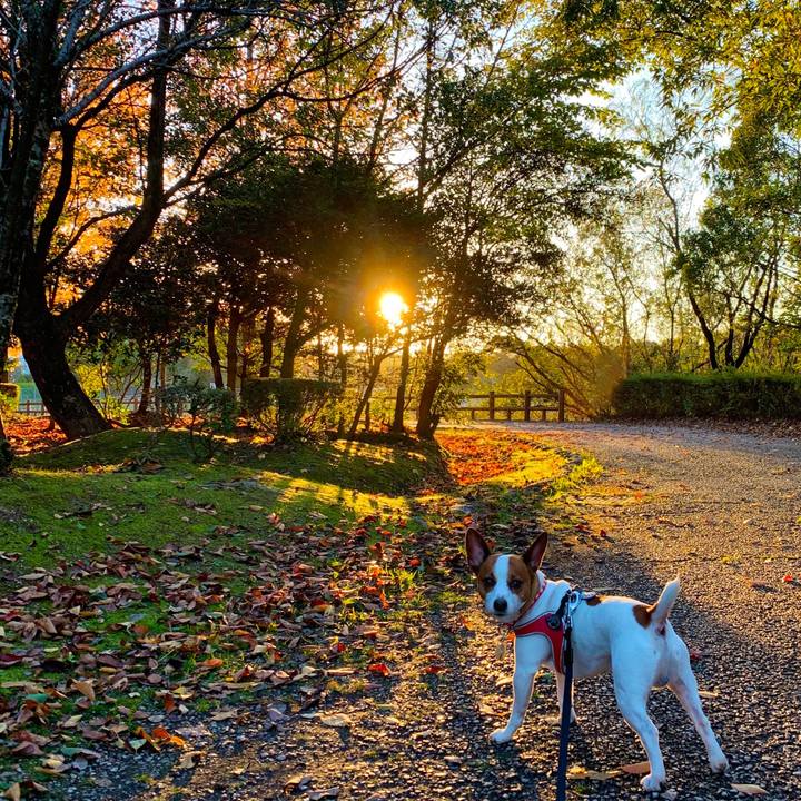 9620d0cd 5de5 4b74 8ca5 07e1cde0a1a8 1541840966565