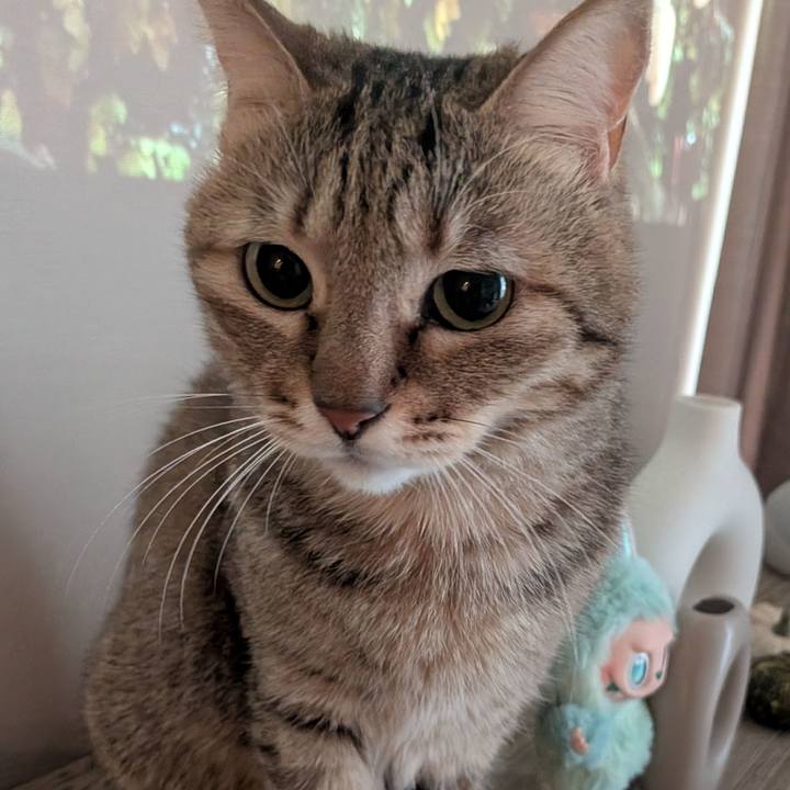 96217d7f bb5e 4795 99b1 f3ce15dcd95c 1763070281683