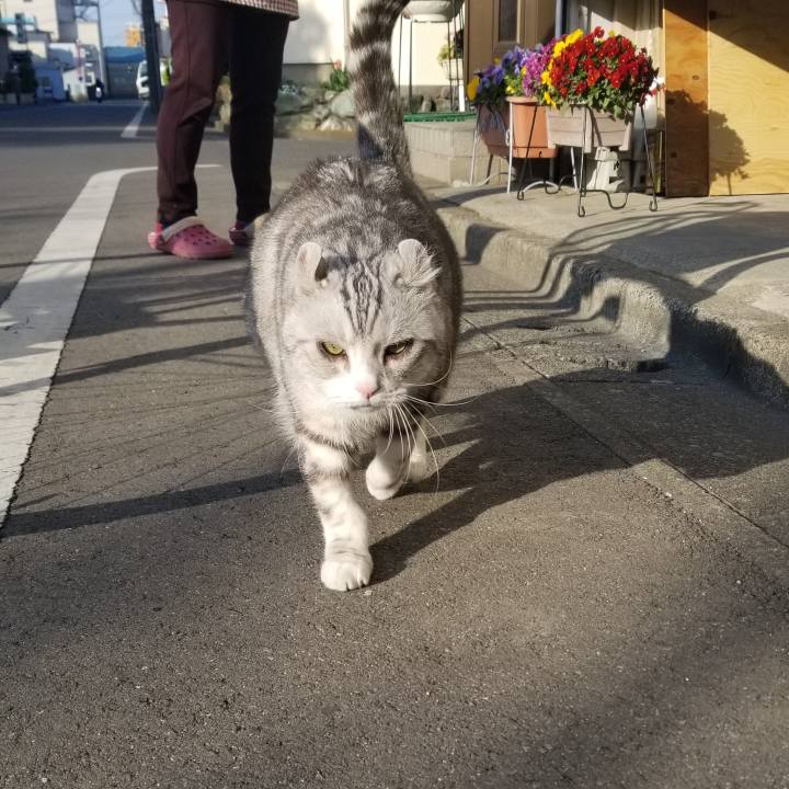 96218095 d5c3 4609 96d0 7776ff77c31b 1553648947029