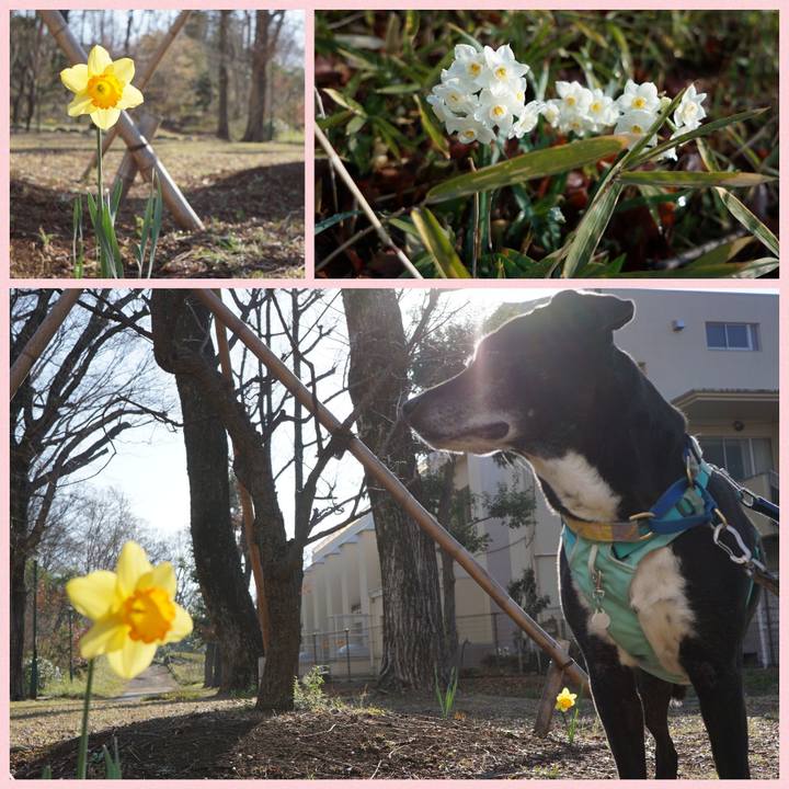 9621b054 8a5e 4643 8b64 aa528742c61d 1774055073257