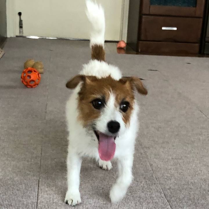 9621b452 fb02 4fac 95db a6bd60b0d440 1537758194539