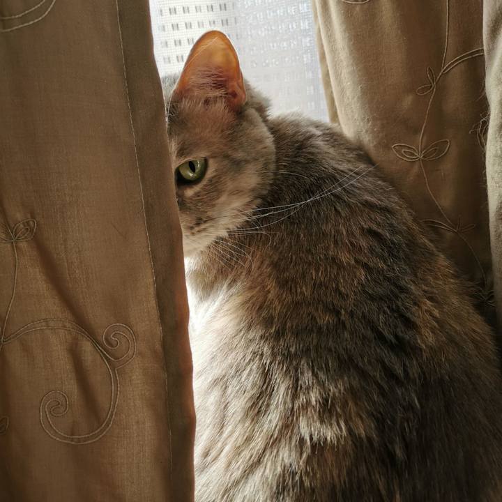 9621f809 e880 4759 b391 7858849f3d5c 1618041118491