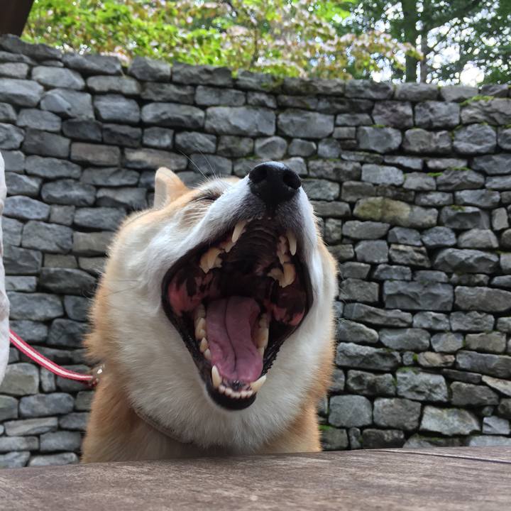 9622170d b6fd 41e4 9116 2157bbff2a2b 1563715238521