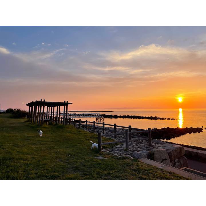 9622193e 56a2 420d 8668 5aa7b0ee3f19 1652782804038