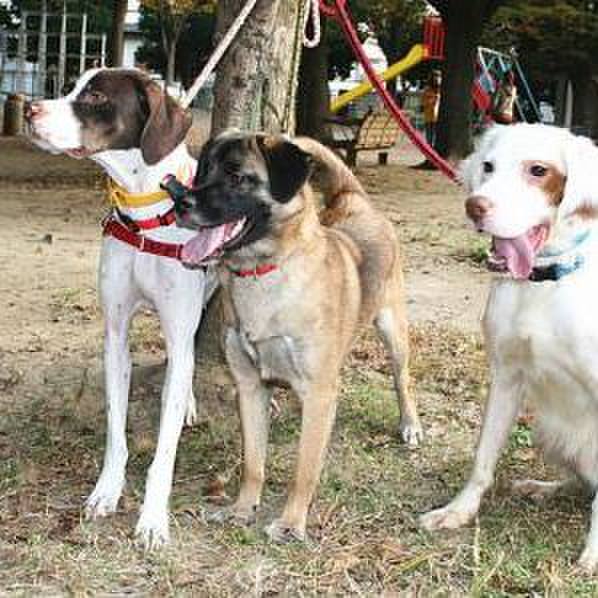 962238d1 6717 4b56 ac24 5520e538ac88 1575088429942