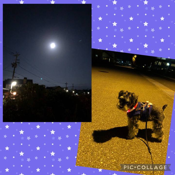 96225763 f84d 4a46 827b 7ba70b70d673 1637234642356