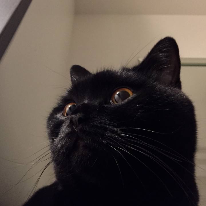 96227474 bce5 4634 a7a0 7013a98b31c0 1572184035496