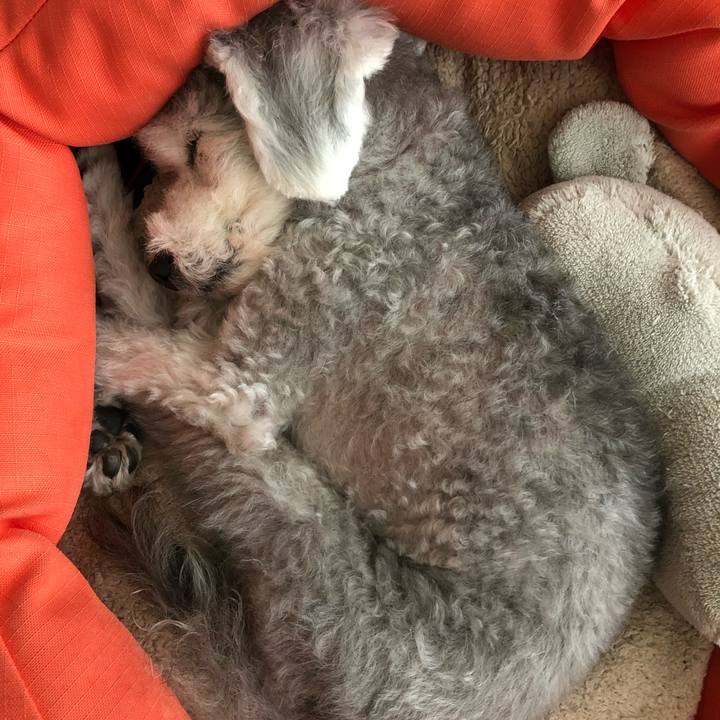 9622a13f 6bb7 49d5 b7ed 3eed0f8b9d49 1599005010386