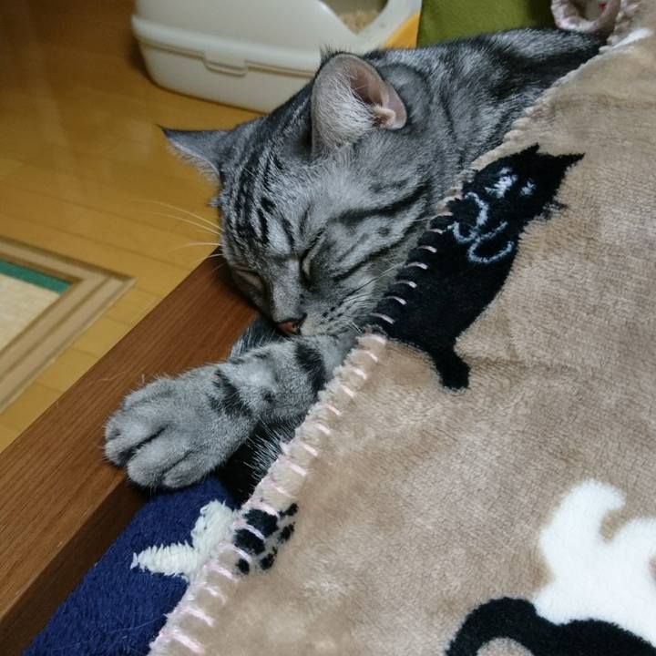 9622afd2 7516 475a 8f37 0e16d6c7b941 1509634347851