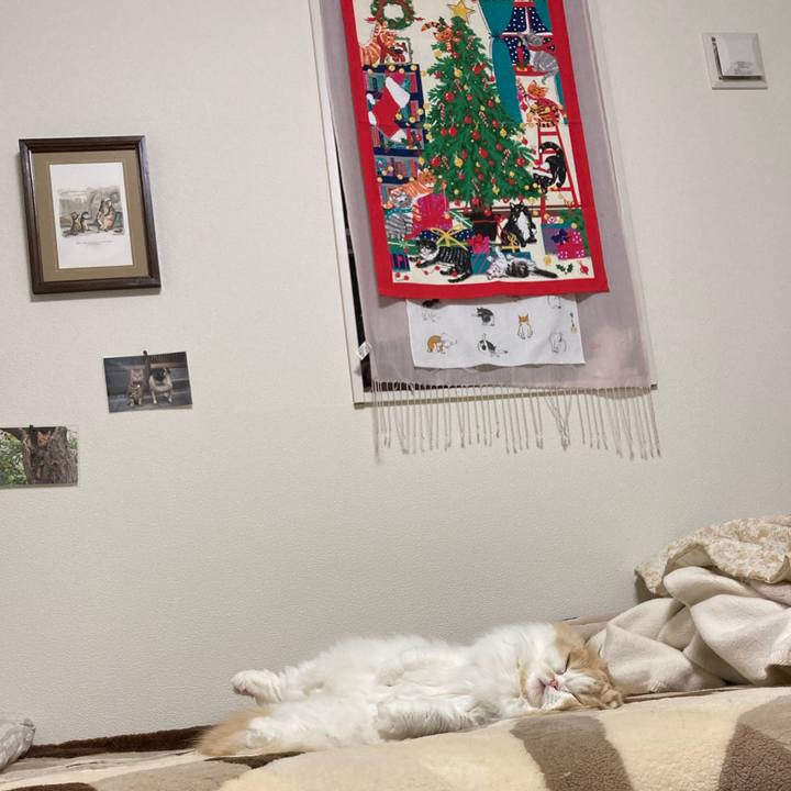 9622b59f d1c9 43a2 be03 e84912ec99a0 1608818639663