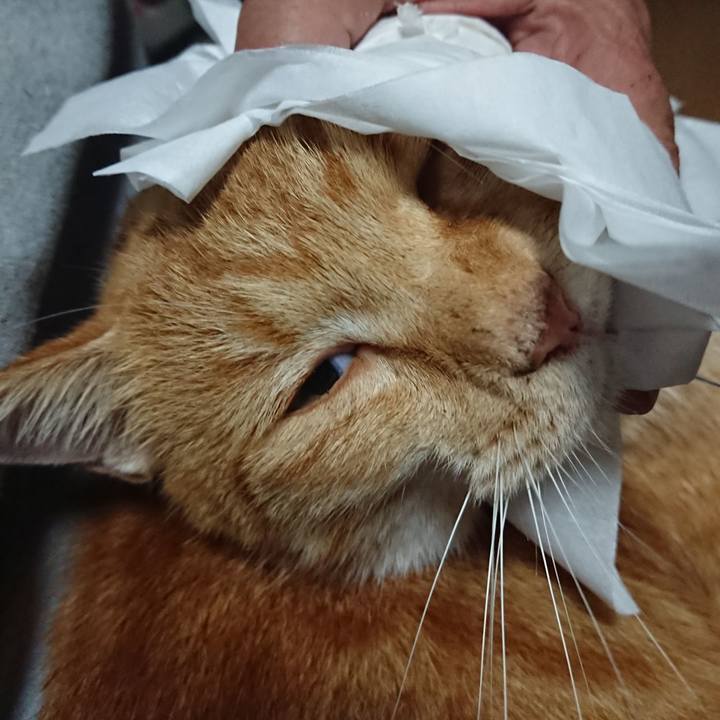 9622c940 a171 4c19 903d 2ff676a2ed38 1602886085058