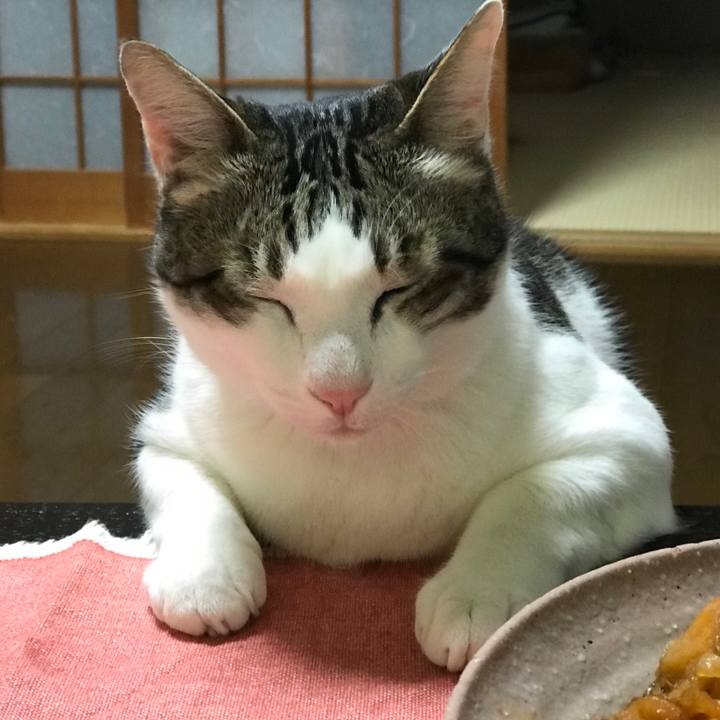 9622cec6 8813 467d 9fa0 376f5eb80e05 1555580631470