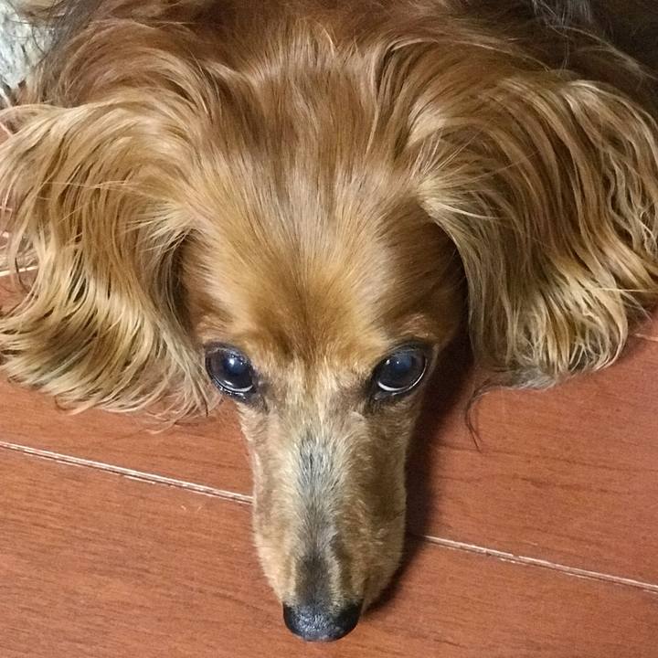 9622db50 a8b1 43a9 ab1d 5748c41dabb5 1570510917700