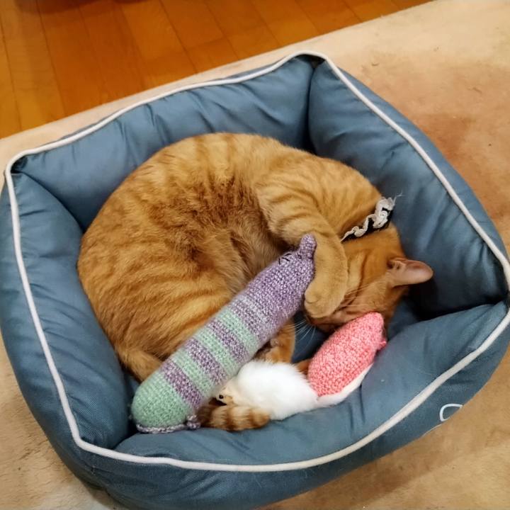 962345a8 32b5 4c2e 867b 7e3daa7aab98 1603278131256