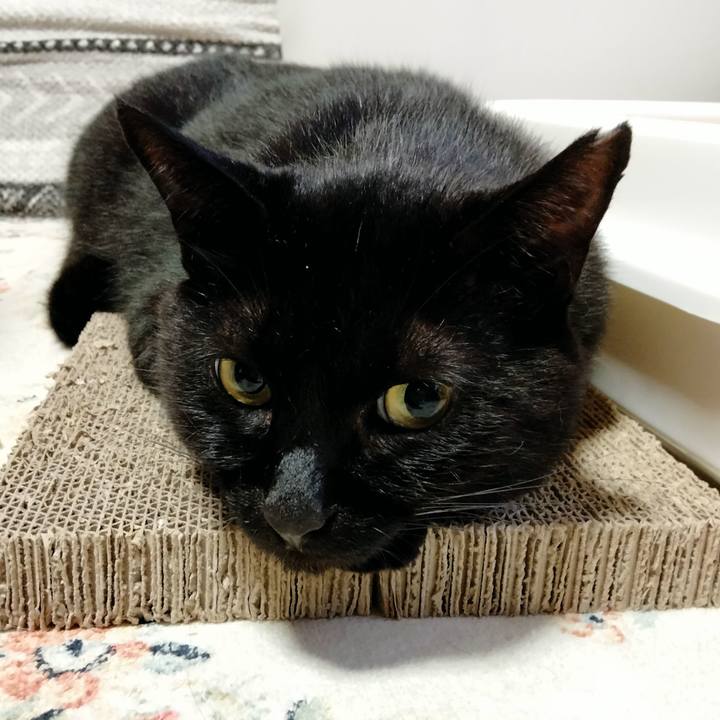 96234db2 b9c8 4c1f afc1 4bf509cd5b0b 1629203119882