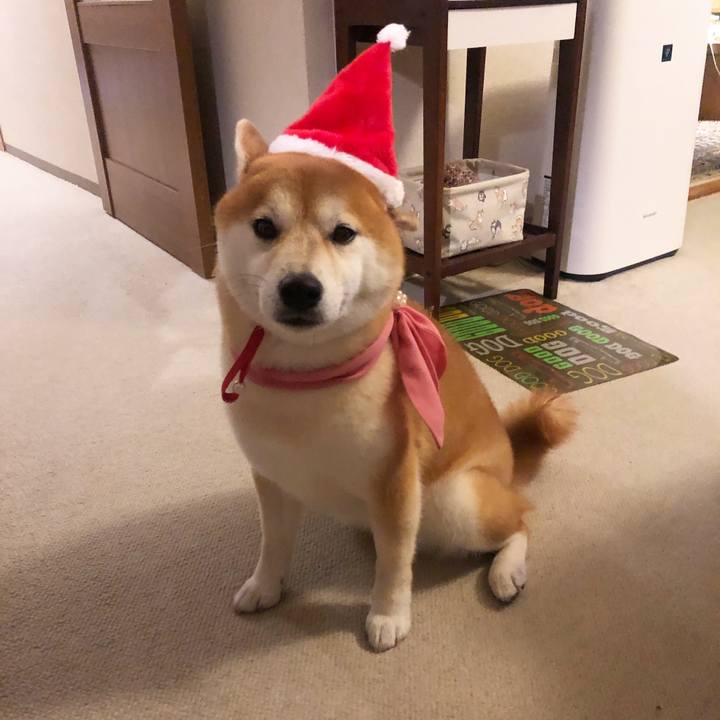 962371c6 77c5 4980 a4b4 1bc39cc06a9a 1545697522490