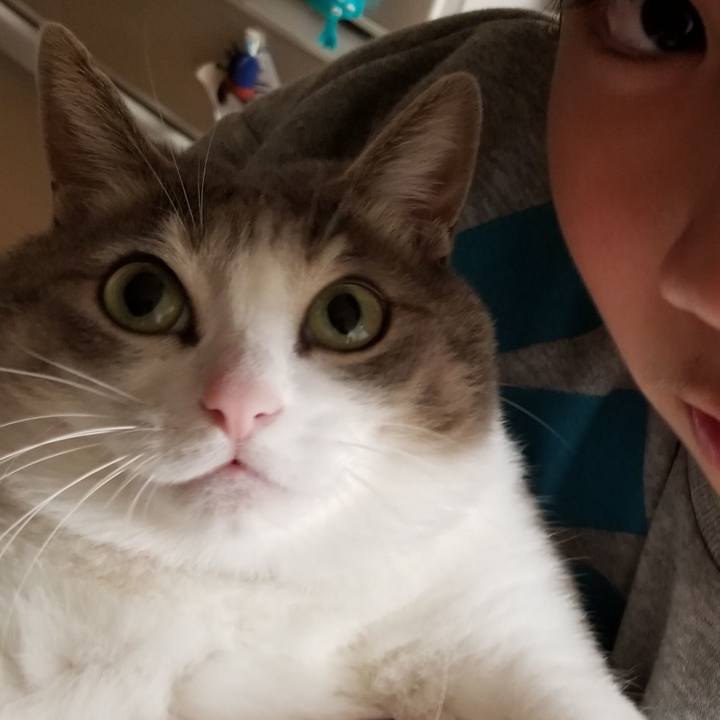 96238cda 3c7c 48c8 ba5e 3bf8ea50f823 1576505020300