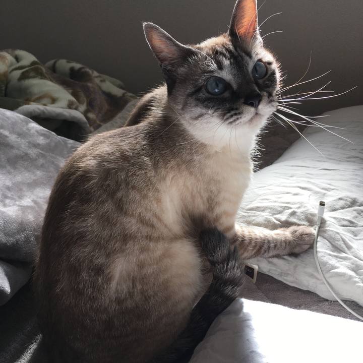 9623e00c 14e8 4012 93d7 b1175d3728ff 1584596425410