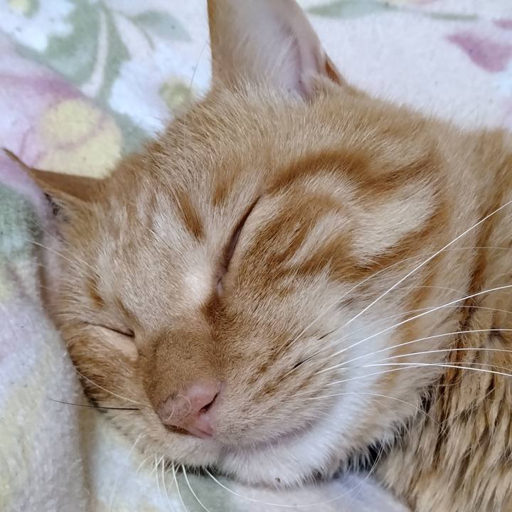 96240582 4b2e 45bb 9c1e f2dd2b0f3138 1669898197145