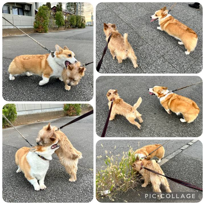 96241b32 288d 482a 969b c0ed67f79392 1729095642852